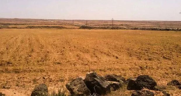 برنامج الأغذية العالمي يحصل على 7.9 ملايين دولار لمواجهة الجفاف الحاد في سوريا