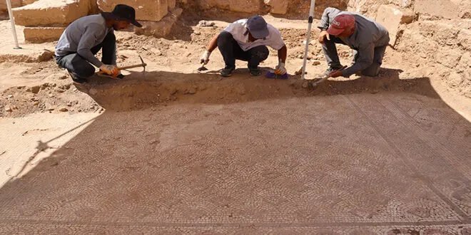 كنز أثري في تركيا: اكتشاف فسيفساء عمرها 1500 عام بمدينة دارا القديمة