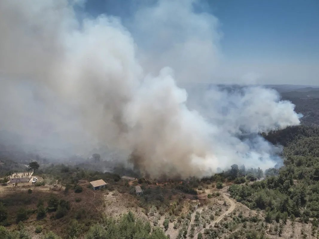 بانياس واللاذقية تحت وطأة الحرائق: جهود مضنية للسيطرة مع إخلاء قرى