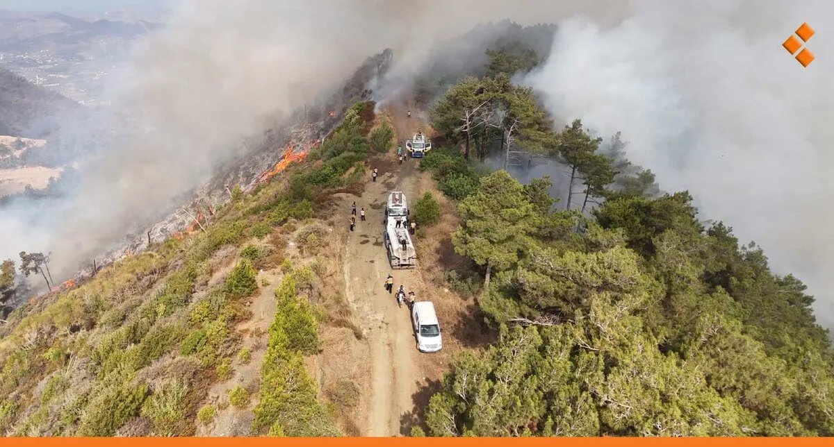 استجابة عاجلة: خطة لدعم مزارعي اللاذقية المتضررين من الحرائق بالتعاون مع برنامج الأغذية العالمي