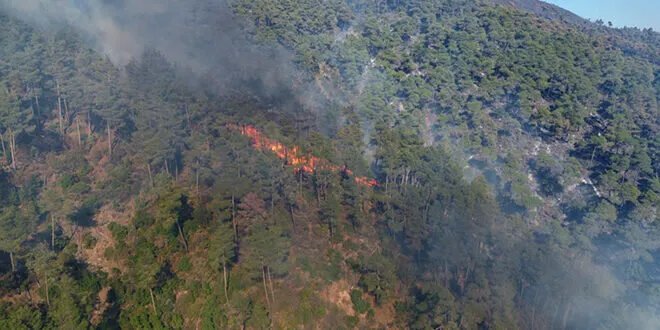 اللاذقية تطلق حملة "بأيدينا نحييها" لترميم الجبال المتضررة.. وشكر للدول المساهمة في إخماد الحرائق