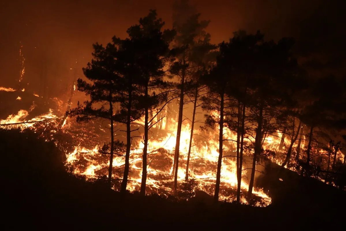 سوريا تطلب مساعدة أوروبية لمكافحة حرائق اللاذقية المتفاقمة