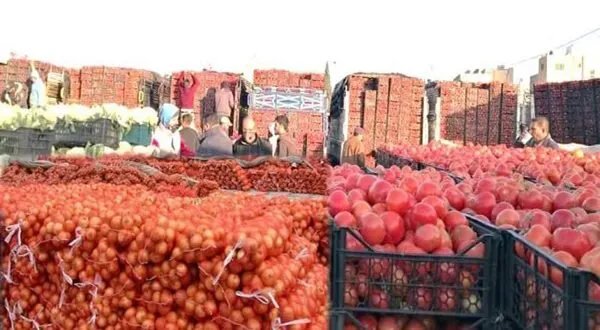 انتعاش الصادرات الزراعية السورية: 531 براد خضار وفواكه إلى الخليج رغم تحديات الجفاف وارتفاع التكاليف