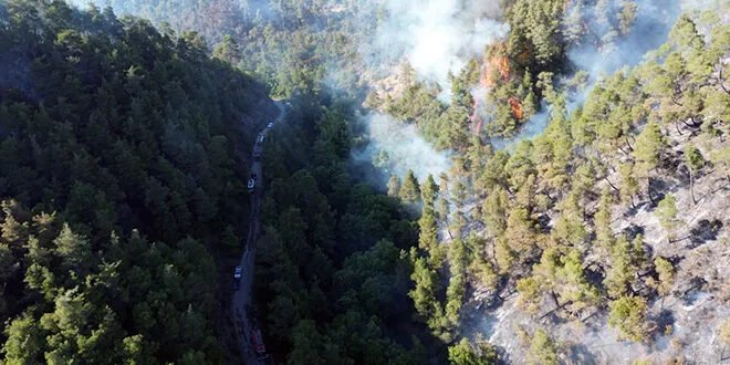 البحرين تعلن تضامنها مع سوريا في مواجهة خسائر حرائق اللاذقية