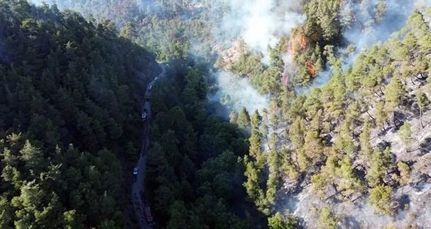 البحرين تعلن تضامنها مع سوريا في مواجهة خسائر حرائق اللاذقية