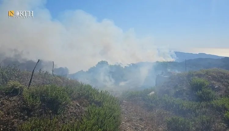 جهود مكثفة لإخماد حرائق اللاذقية: الدفاع المدني يواجه صعوبات