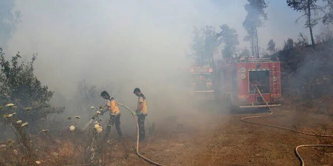 الاتحاد الأوروبي يستجيب لأزمة حرائق اللاذقية بتفعيل نظام كوبرنيكوس