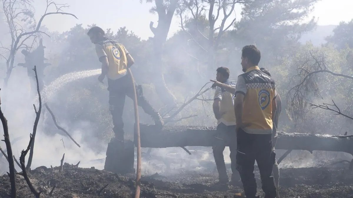 بعد أسبوع من النيران: جهود مكثفة للسيطرة على حرائق الساحل السوري وتقييم الأضرار