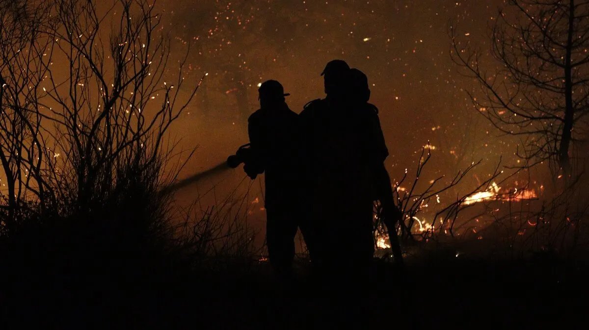 حرائق اللاذقية: الدفاع المدني يكشف عن احتراق 14 ألف هكتار وجهود مستمرة لإخماد النيران