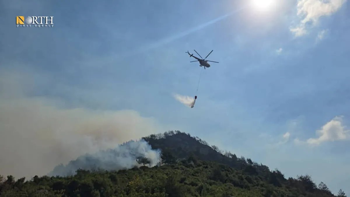 الدفاع السورية: إيطاليا واليونان وقبرص تدعم جهود إخماد حرائق اللاذقية