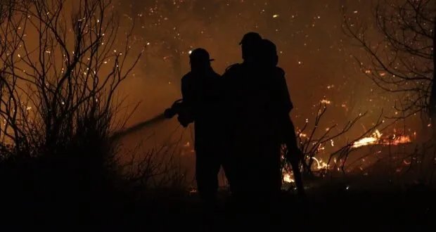 حرائق اللاذقية: الدفاع المدني يكشف عن احتراق 14 ألف هكتار وجهود مستمرة للإخماد