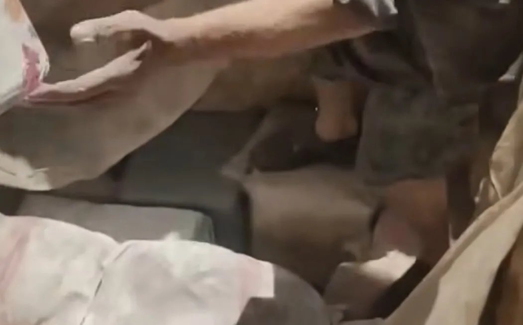 اكتشاف مذهل: سوري يعثر على 2000 كتاب مخبأة تحت الأرض منذ عهد الأسد