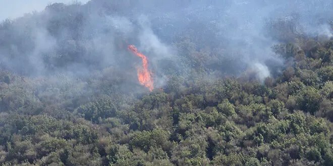 حريق يندلع في أحراج منطقة المسحل الحدودية بين حماة واللاذقية