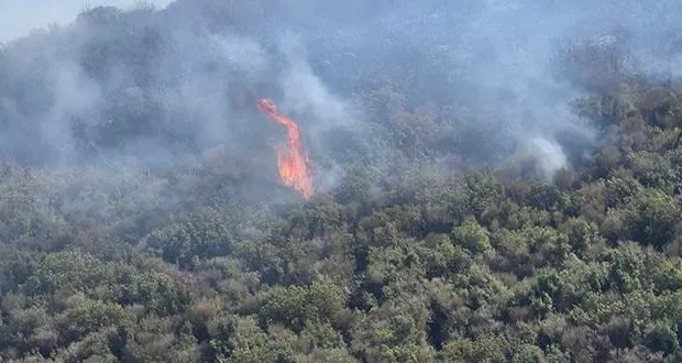 حريق يندلع في أحراج منطقة المسحل الحدودية بين حماة واللاذقية