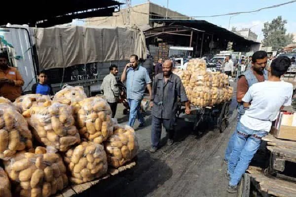 قفزة في الصادرات الزراعية السورية: أكثر من 500 براد خضار وفواكه تغزو أسواق الخليج في أسبوعين