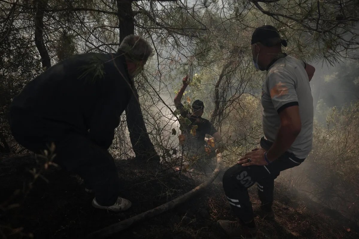 حرائق اللاذقية تتجدد وتلتهم آلاف الهكتارات رغم جهود الإطفاء