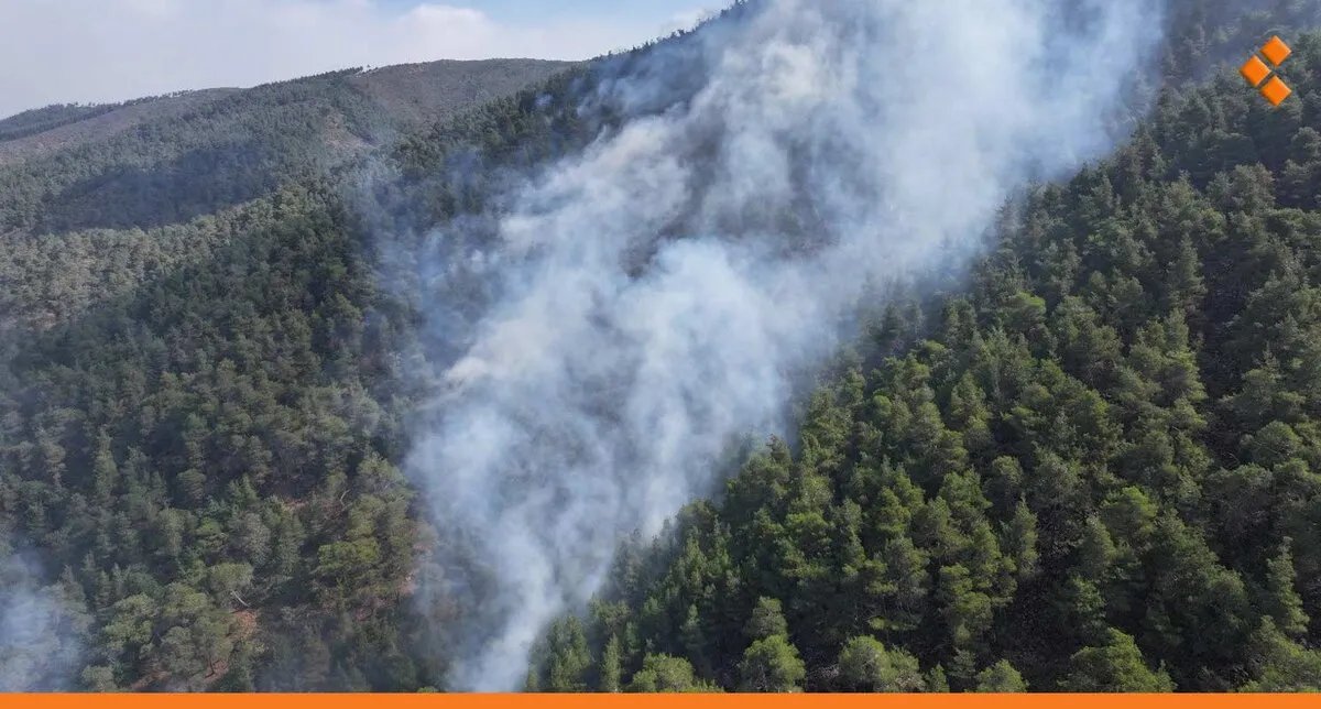 السيطرة شبه الكاملة على حرائق اللاذقية بعد 8 أيام من اندلاعها مع استمرار جهود الإطفاء