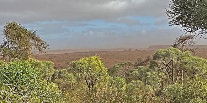 تقرير أممي يحذر: العواصف الرملية تهدد صحة الإنسان والاقتصاد العالمي بتزايد