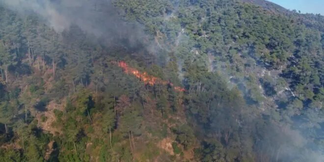 جهود مكثفة لإخماد حرائق اللاذقية: فرق إطفاء من الرقة والحسكة ودير الزور تنضم للعمليات