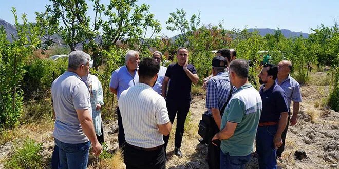 وزير الزراعة يتفقد آثار الحرائق في ريف اللاذقية الشمالي ويقيّم الأضرار