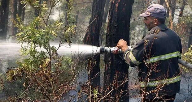 جهود مكثفة لاحتواء حرائق اللاذقية: فرق الإطفاء تفتح خطوط نار جديدة بدعم تركي