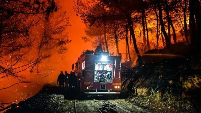 الأمم المتحدة تخصص 625 ألف دولار للاستجابة الطارئة لحرائق اللاذقية
