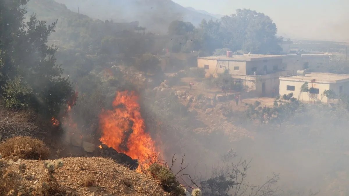 حريق ضخم يلتهم حراج نبع الطيب في سهل الغاب وجهود مكثفة للسيطرة