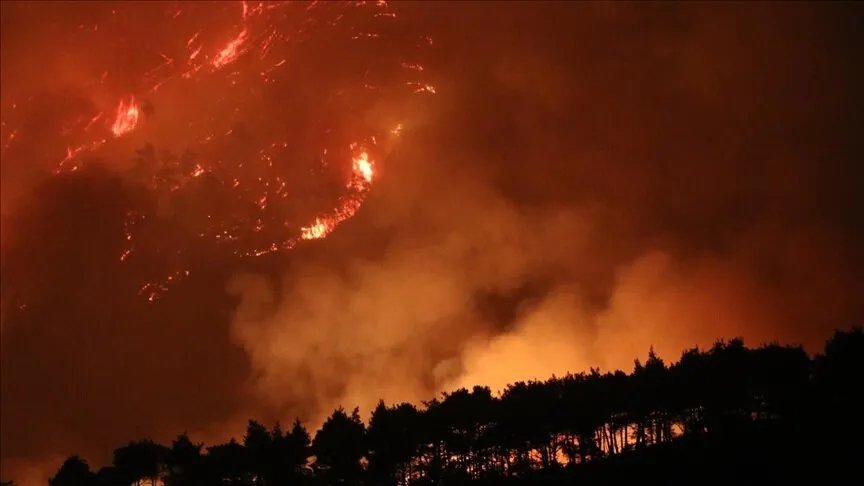 الأمم المتحدة تخصص 625 ألف دولار لمساعدة المتضررين من حرائق اللاذقية