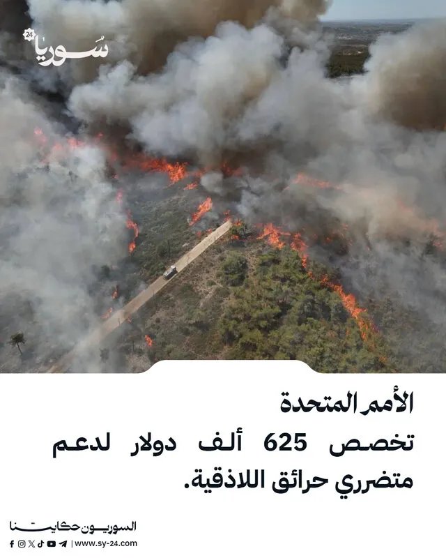 الأمم المتحدة تخصص أكثر من نصف مليون دولار لإغاثة متضرري حرائق اللاذقية