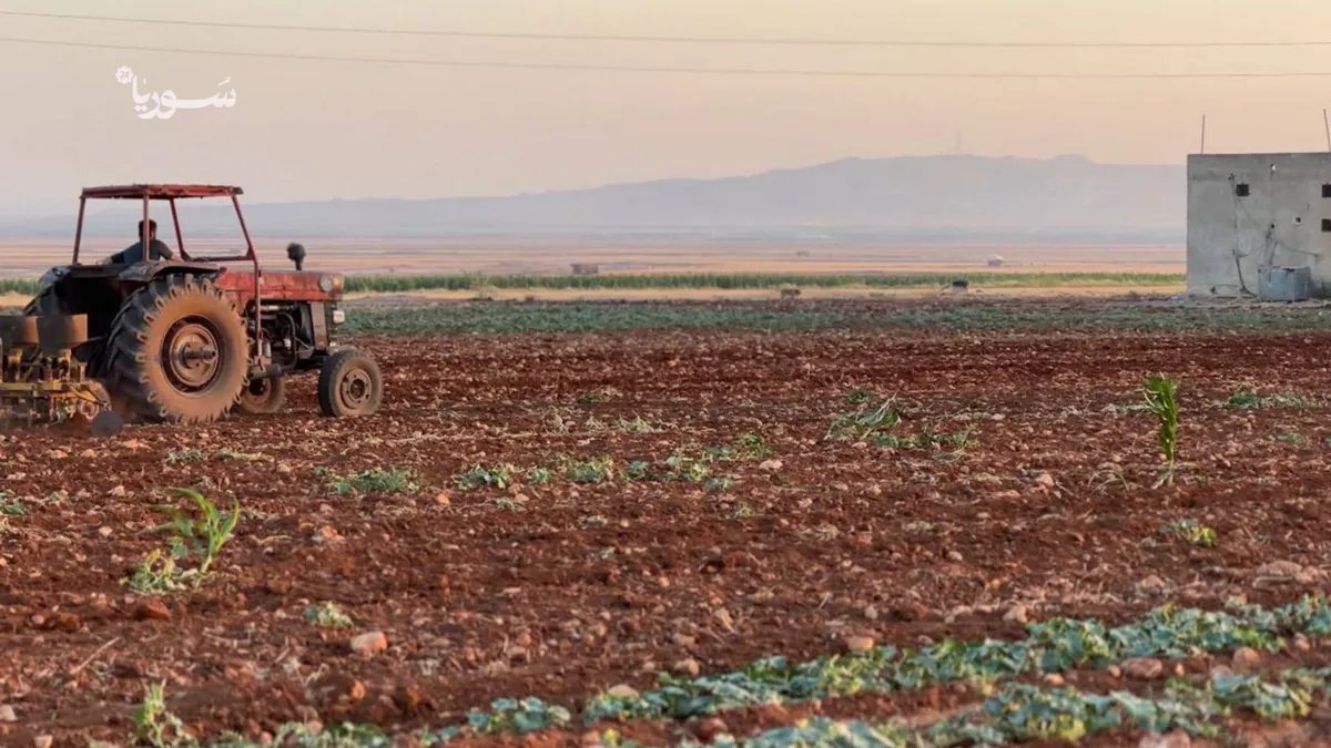 أزمة مياه خانقة في ريف حلب: سكان تل الضمان يطلقون نداء استغاثة لإنقاذ قراهم