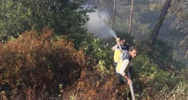 اللاذقية تحارب النيران: جهود مكثفة وتنسيق دولي لمواجهة حرائق الغابات المستمرة