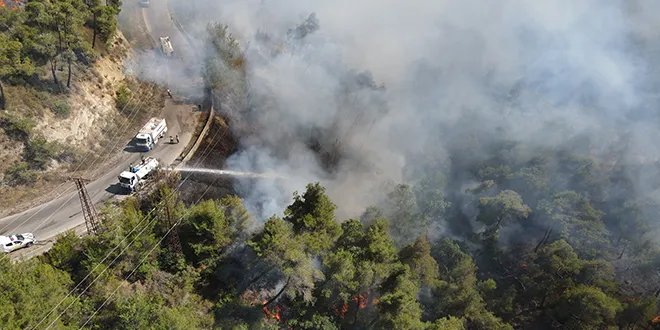 اللاذقية: فرق الإطفاء تتحدى الألغام والرياح في سباق للسيطرة على حرائق جبل التركمان