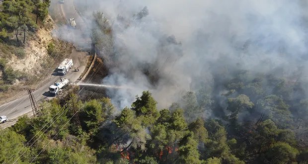اللاذقية تحترق: فرق الإطفاء تتحدى الألغام والرياح في سباق مع الزمن لإخماد الحرائق
