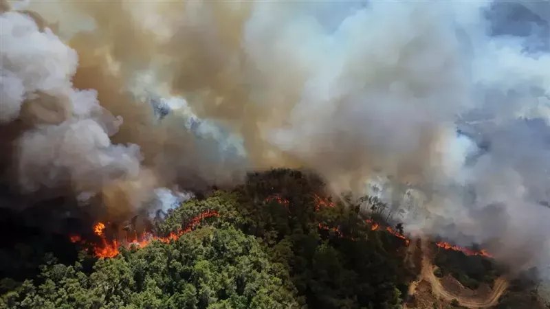 الاتحاد الأوروبي يبحث دعم سوريا في مواجهة حرائق اللاذقية المدمرة