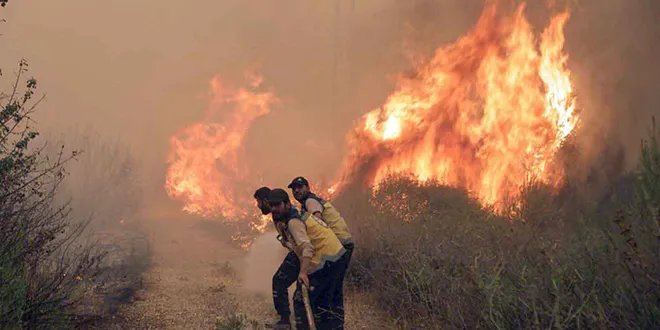 الرياح تعيد إشعال الحرائق في ريف اللاذقية وجهود الإخماد مستمرة