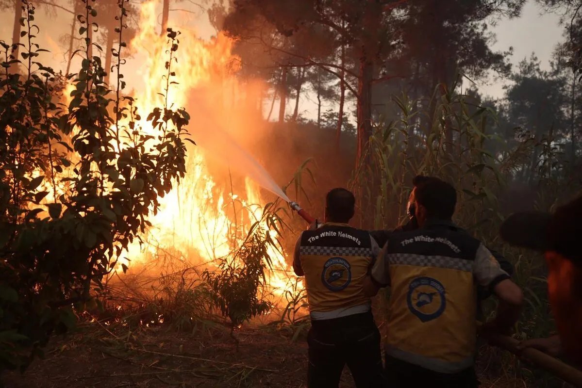 الحرائق تشتد في اللاذقية: جهود إخماد مكثفة ودعم دولي لمواجهة الكارثة