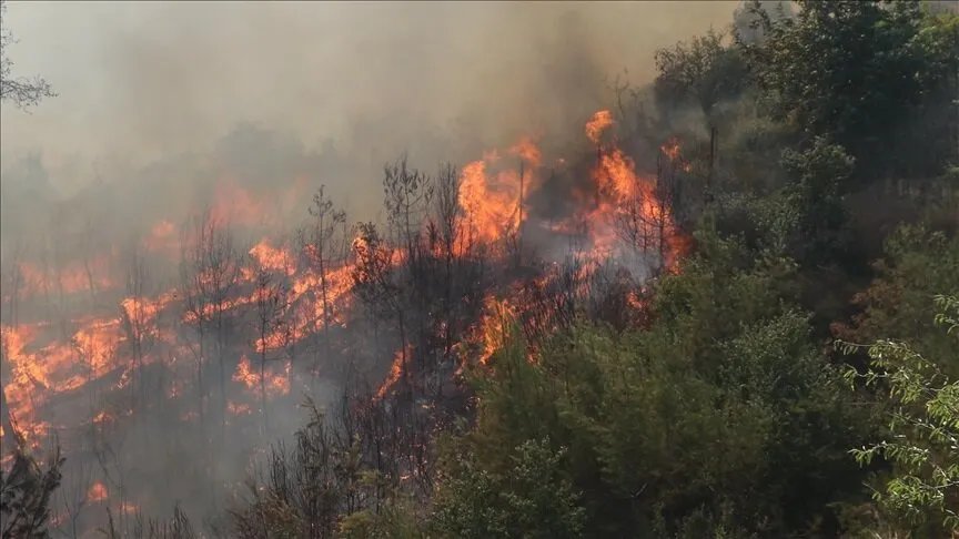 إعلام رسمي: إسرائيل تُشعل حريقاً متعمداً في أراضٍ سورية بريف القنيطرة