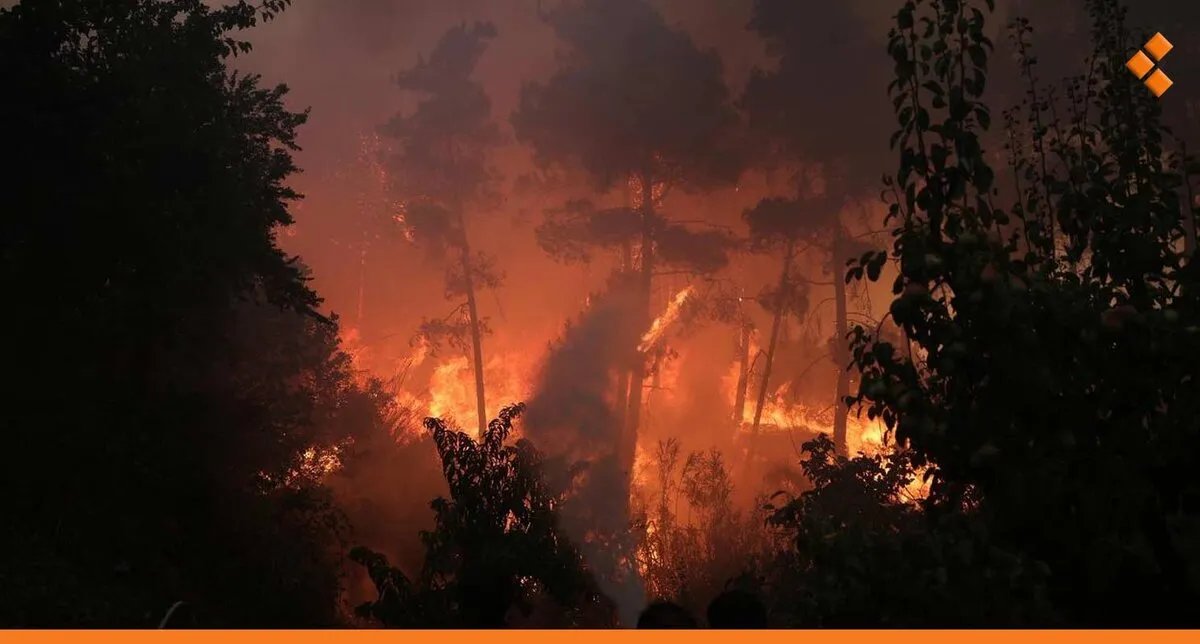 دعم دولي مكثف لسوريا: قوافل عراقية وطائرات قطرية تصل للمساعدة في إخماد حرائق الساحل