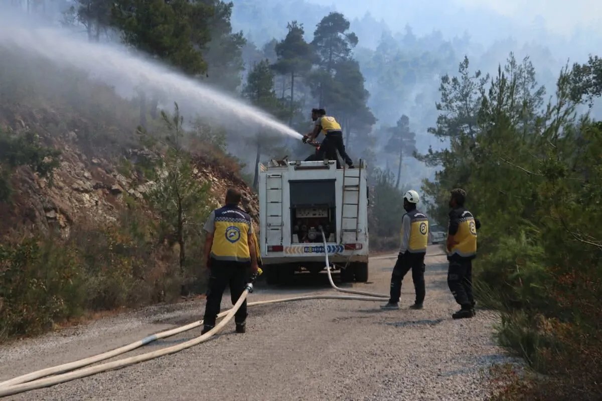 السيطرة على الحرائق في اللاذقية: تعزيزات من العراق وقطر وجهود مكثفة