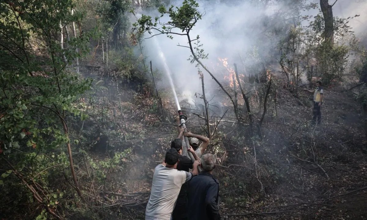 كارثة بيئية: حرائق الساحل السوري تلتهم آلاف الهكتارات وجهود مكثفة لاحتوائها