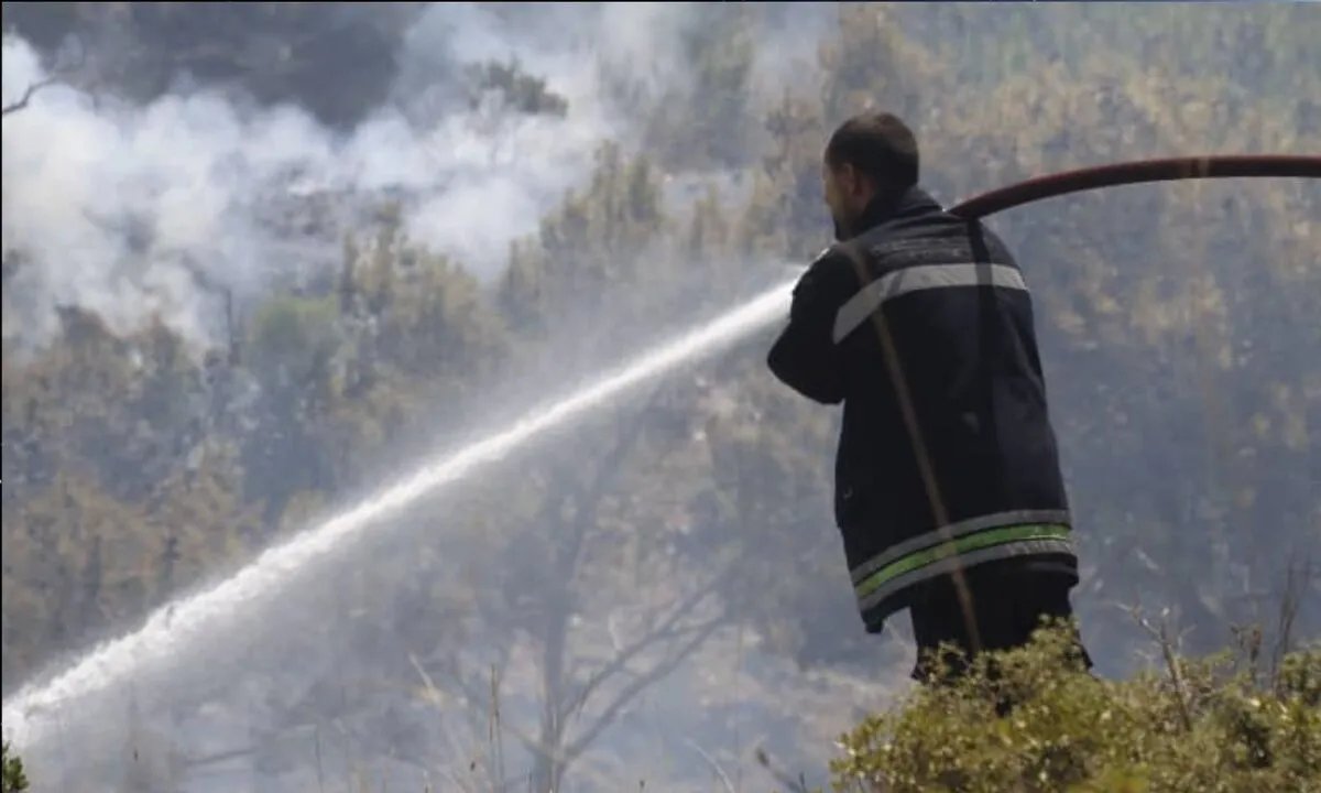 الاتحاد الأوروبي يقدم دعمًا لوجستيًا لسوريا لمكافحة حرائق الساحل المتفاقمة