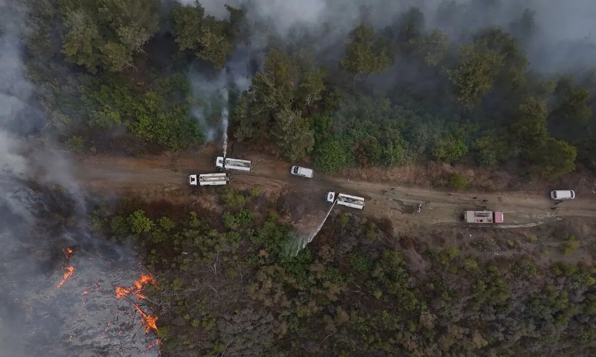 الدفاع المدني ينجح في احتواء حرائق ريف اللاذقية بعد ستة أيام من الانتشار