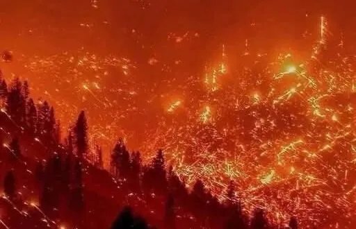 استياء في صفوف عناصر الدفاع المدني السابقين في طرطوس من استبعادهم ومطالبة بإعادتهم لمواجهة الحرائق