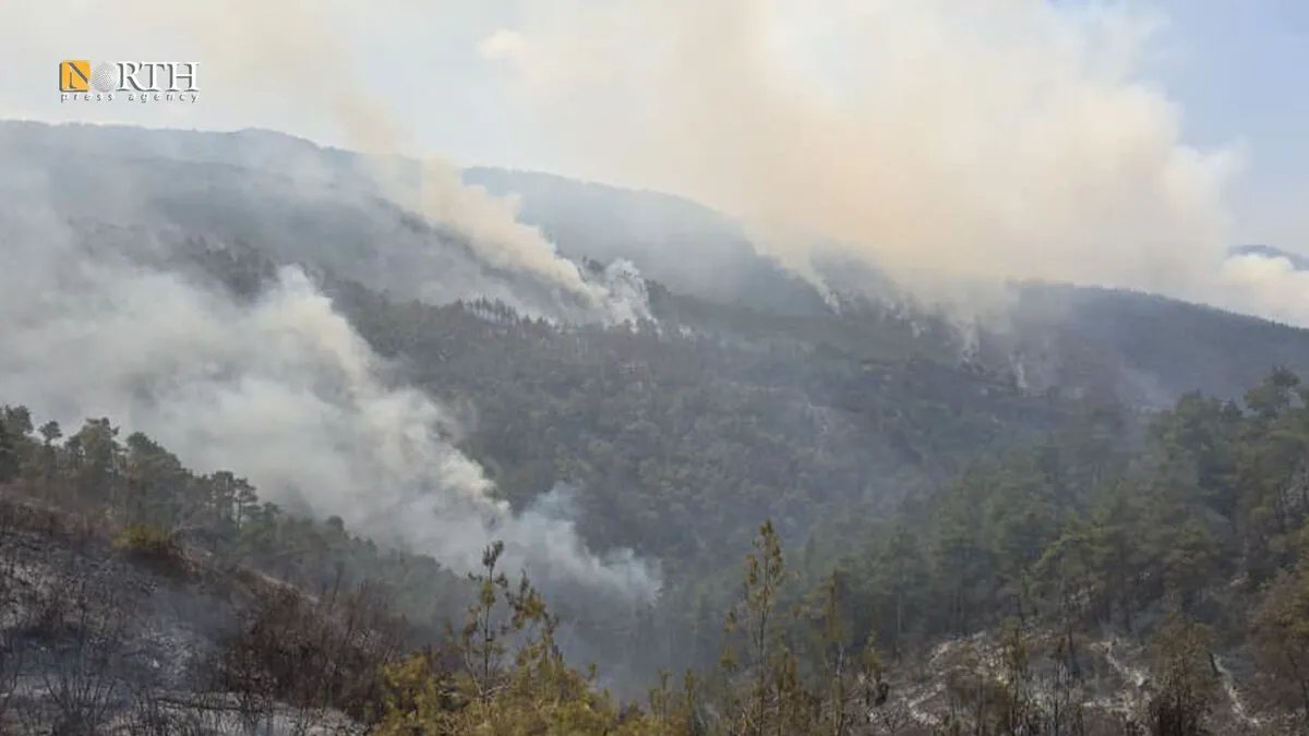 صندوق المساعدات السورية يخصص 500 ألف دولار للاستجابة الطارئة لحرائق اللاذقية