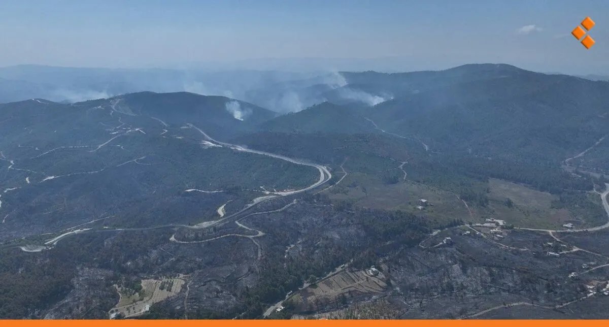 بعد 11 يومًا من الاشتعال: السيطرة على امتداد الحرائق في ريف اللاذقية