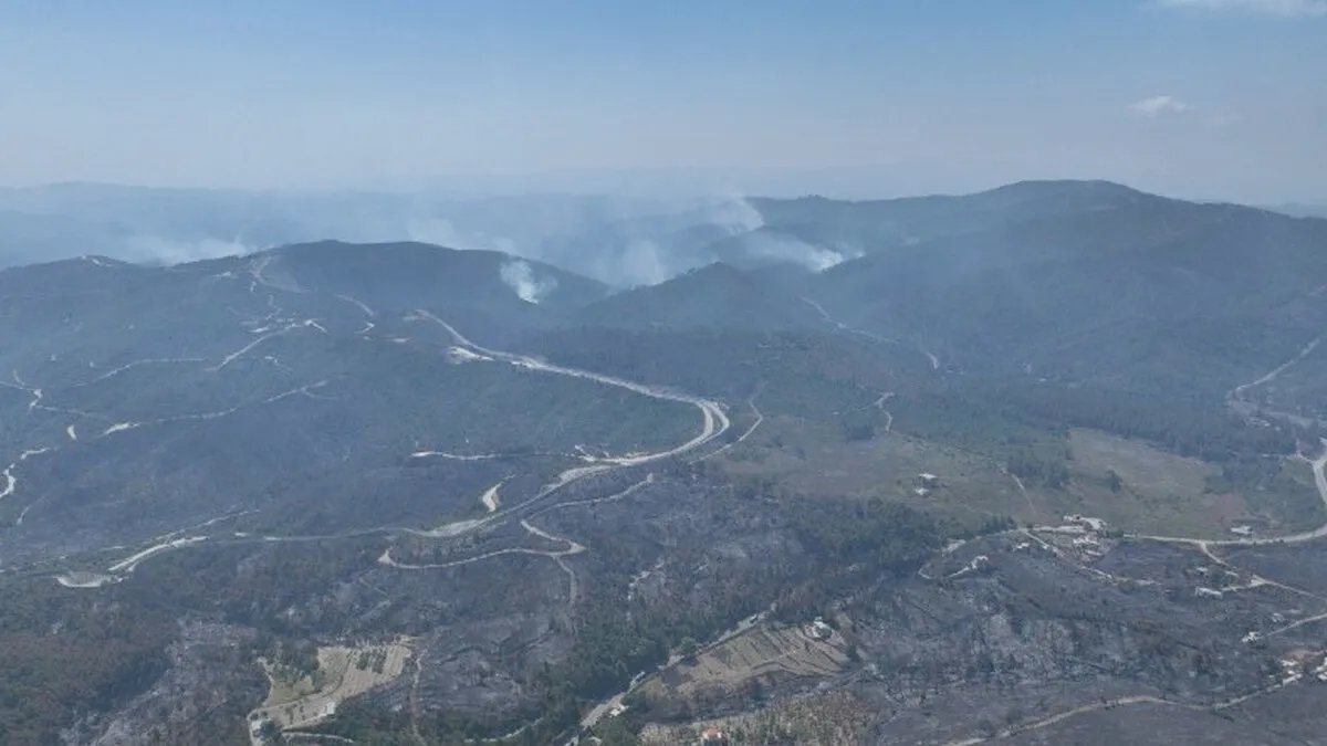 الدفاع المدني يواصل جهوده للسيطرة على آثار حرائق اللاذقية وتأمين المنطقة