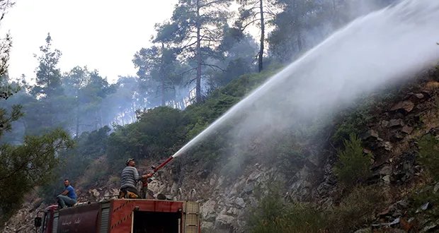 جهود مكثفة تنجح في وقف انتشار الحرائق بريف اللاذقية الشمالي: وزير الطوارئ يعلن عن تحسن الأوضاع