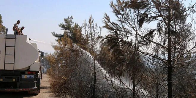 اللاذقية: فرق الإطفاء والدفاع المدني تواصل عمليات التبريد في جبل زاهية بعد إخماد الحرائق