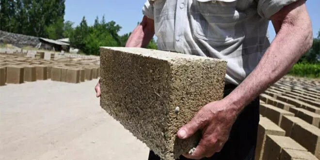 قرغيزستان تبتكر: قشور الأرز تتحول إلى حلول بناء صديقة للبيئة ومستدامة