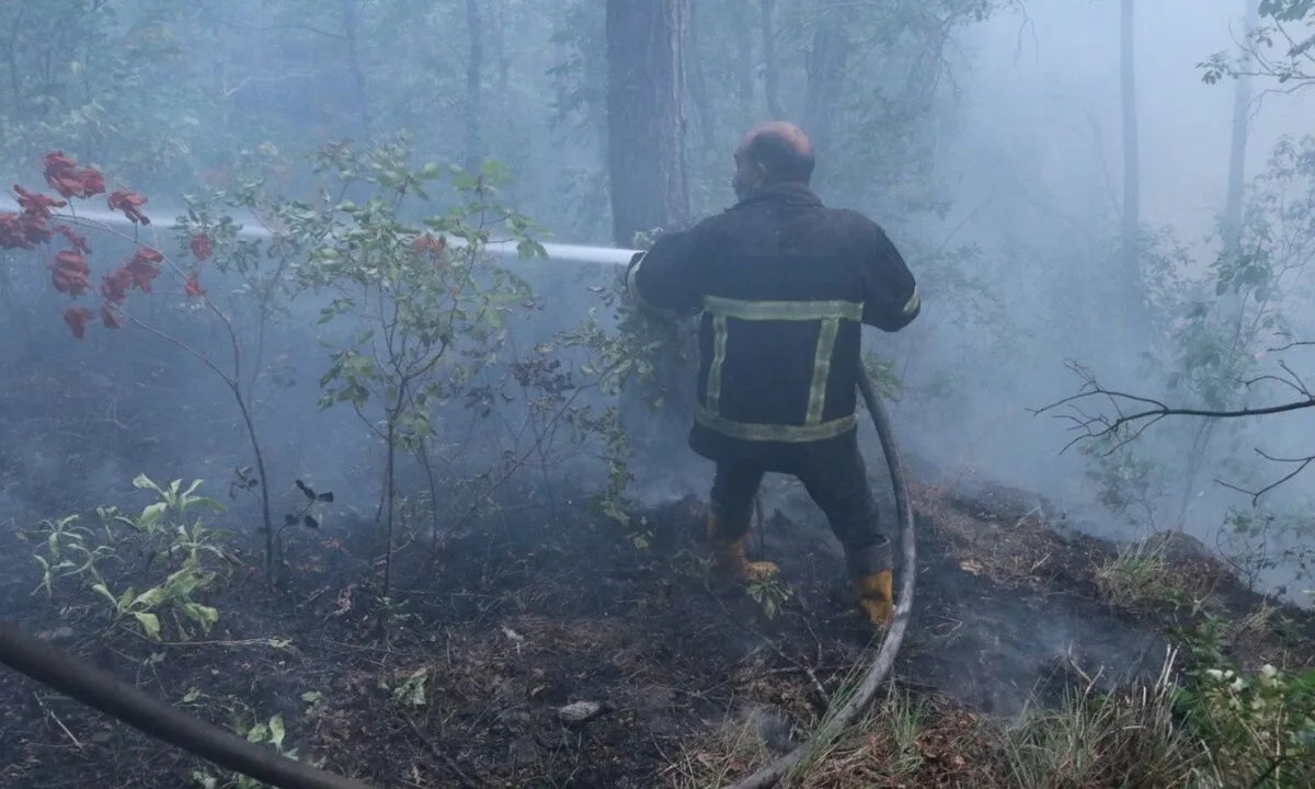 الدفاع المدني يتقدم للسيطرة على حرائق اللاذقية بمساعدة دولية